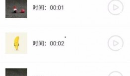 gif转视频,瞬间变永恒，捕捉动态之美